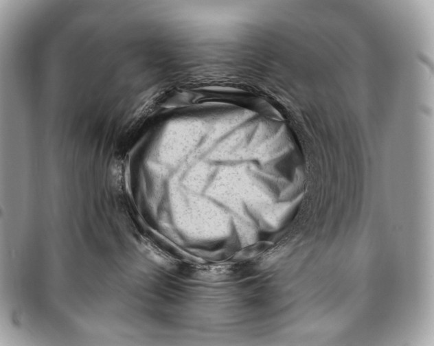 X0000096400288200802141525