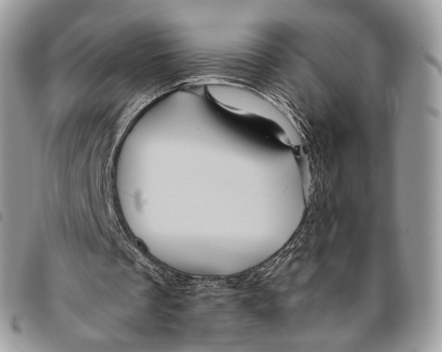 X0000096400289200802141525