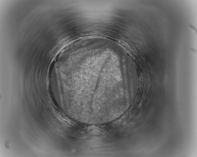 X0000096400290200802141525