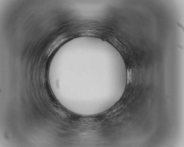 X0000096400291200802141525