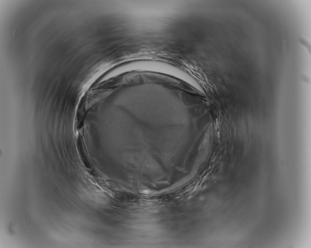 X0000096400292200802141525