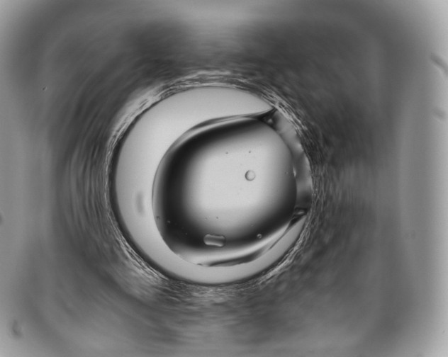 X0000096400293200802141525