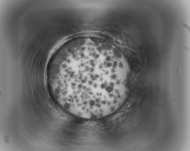 X0000096400294200802141525