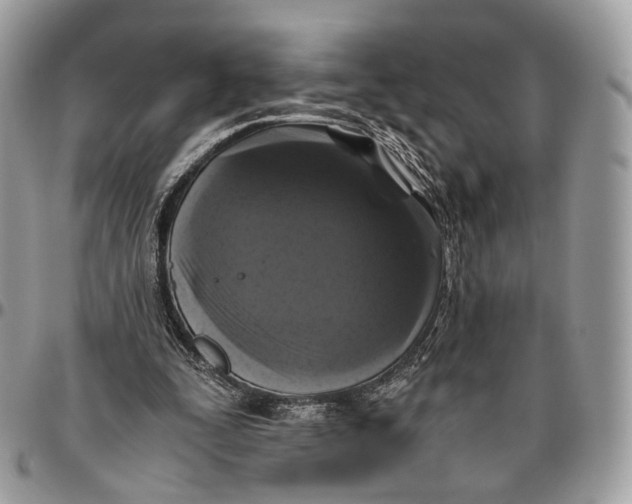 X0000096400295200802141525