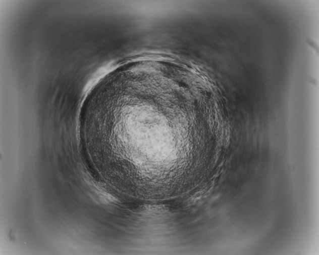 X0000096400296200802141525