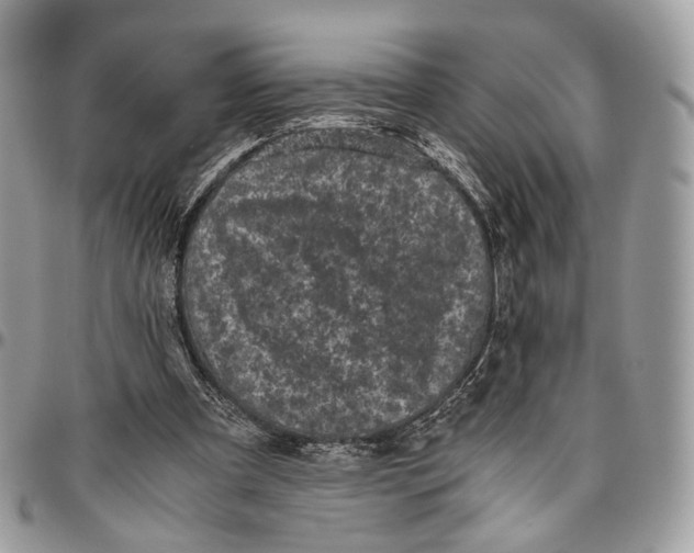 X0000096400297200802141525