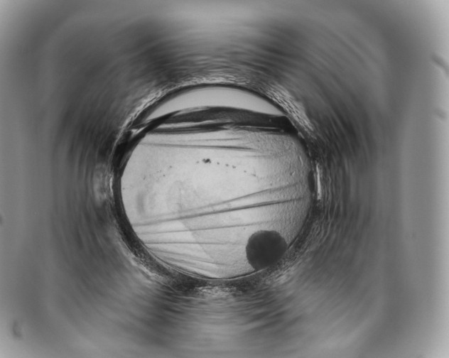 X0000096400300200802141525