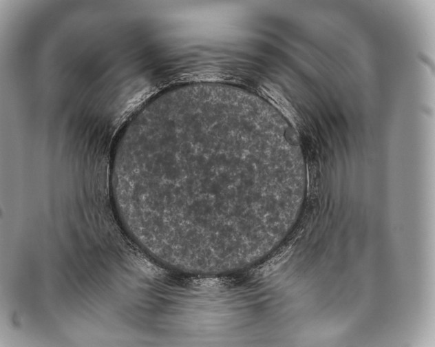 X0000096400301200802141525