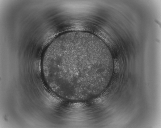 X0000096400302200802141525