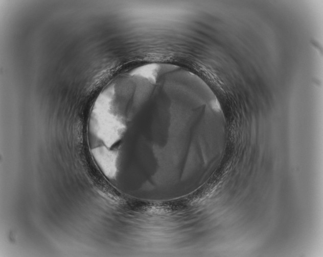 X0000096400303200802141525