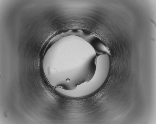 X0000096400304200802141525