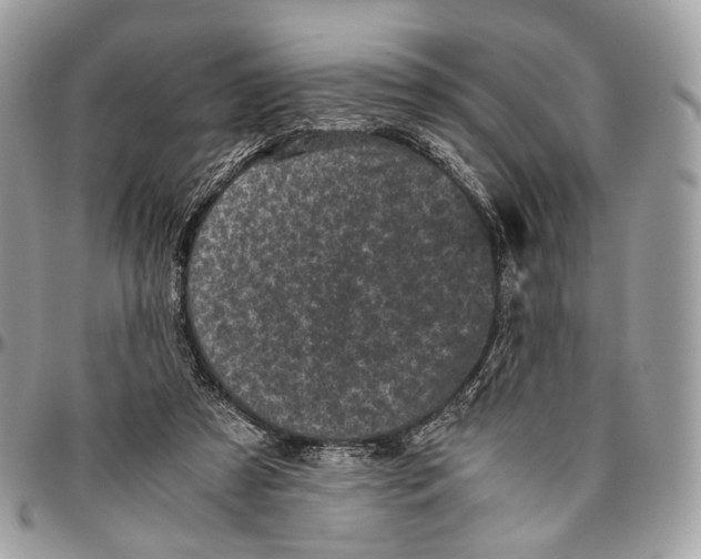 X0000096400305200802141525