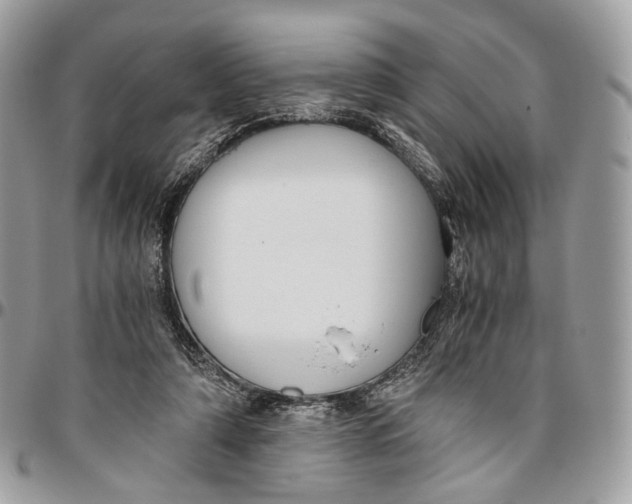 X0000096400306200802141525