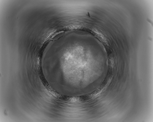 X0000096400308200802141525