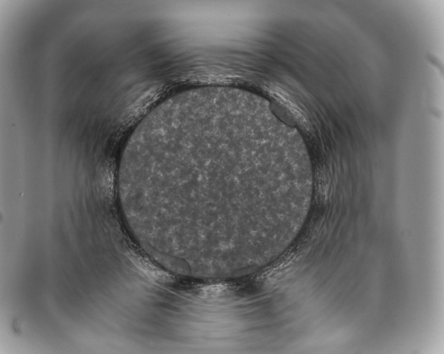 X0000096400309200802141525