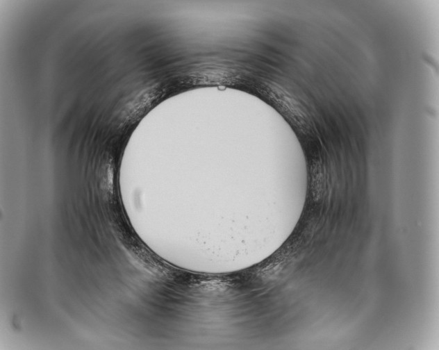 X0000096400310200802141525