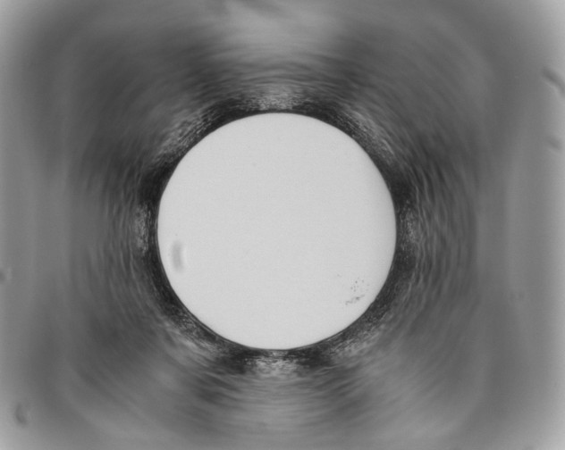 X0000096400311200802141525