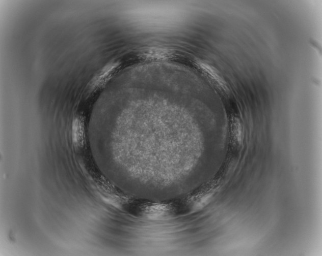 X0000096400312200802141524