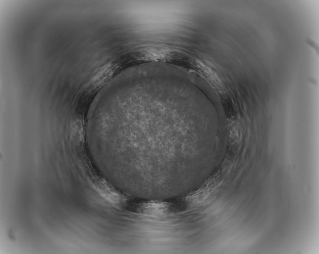 X0000096400313200802141524