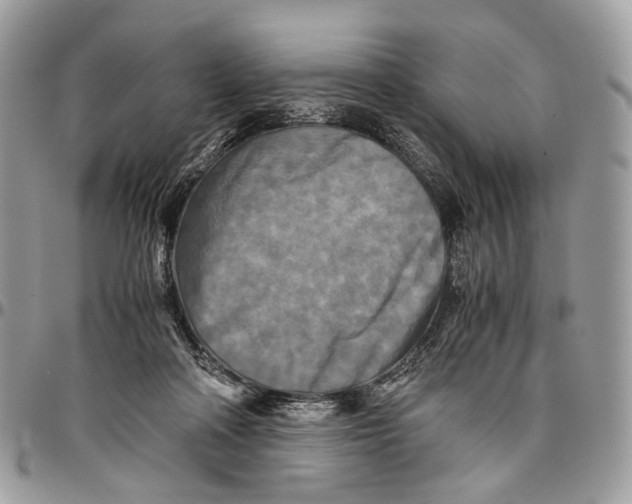 X0000096400314200802141524