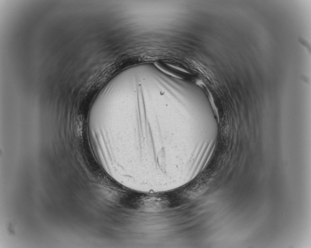 X0000096400315200802141524