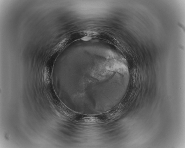 X0000096400316200802141524