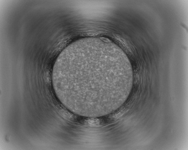 X0000096400317200802141524