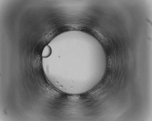 X0000096400318200802141524