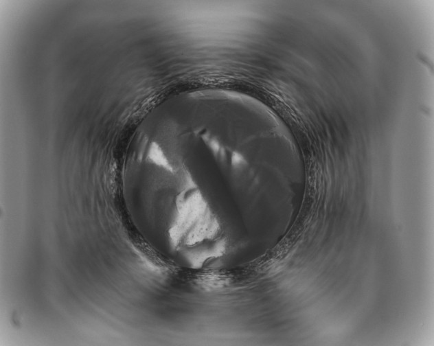 X0000096400319200802141524