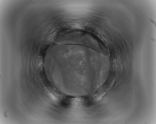 X0000096400320200802141524