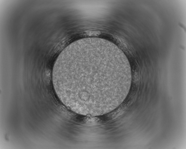 X0000096400321200802141524