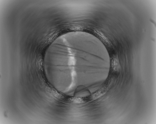 X0000096400322200802141524