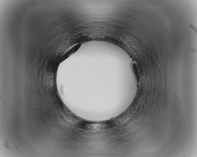 X0000096400323200802141524