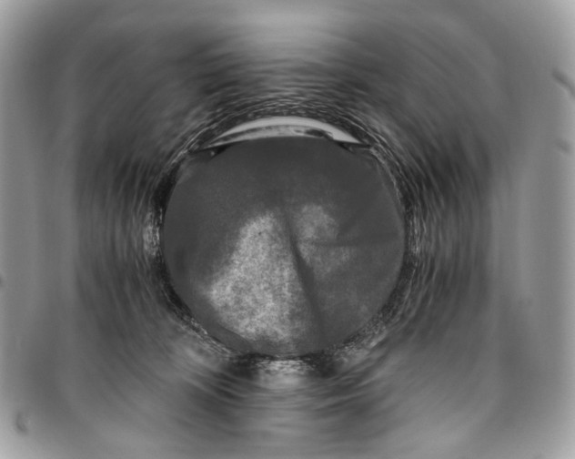 X0000096400324200802141524