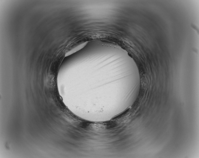 X0000096400327200802141524