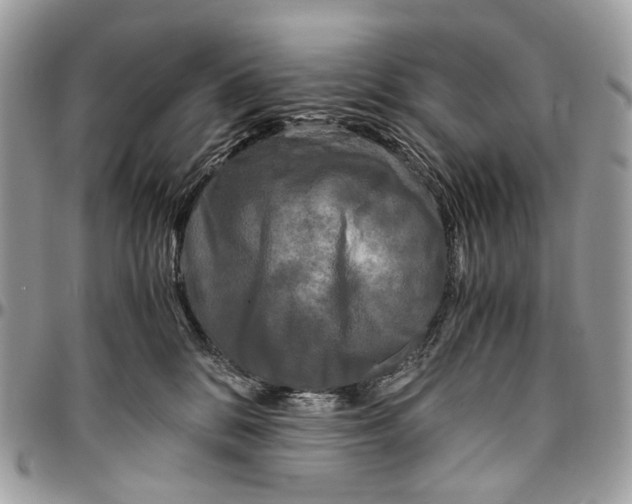 X0000096400328200802141524