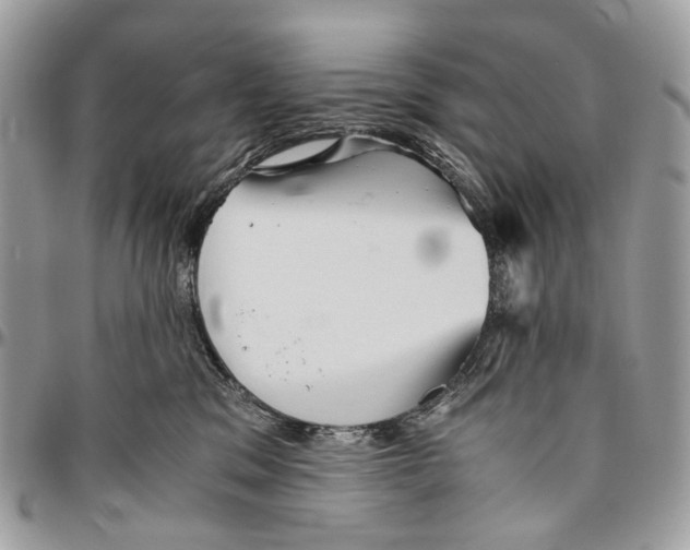 X0000096400329200802141524