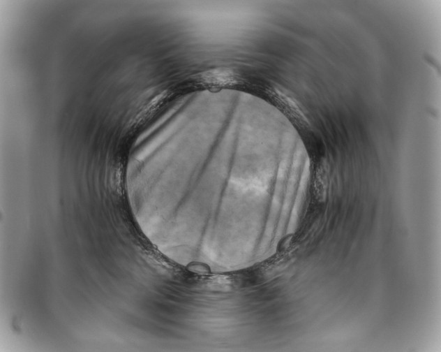 X0000096400330200802141524