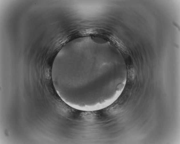 X0000096400331200802141524