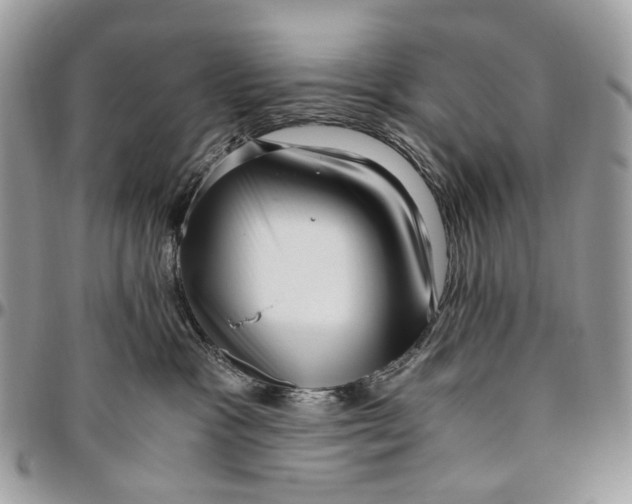 X0000096400333200802141524