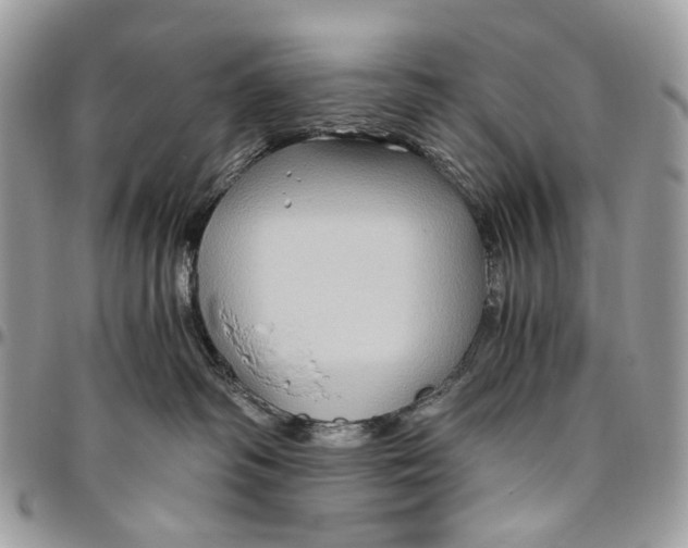 X0000096400334200802141524