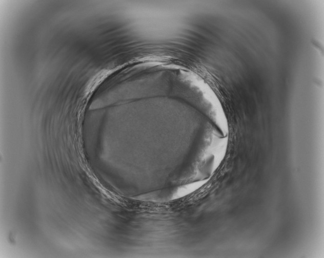 X0000096400337200802141524