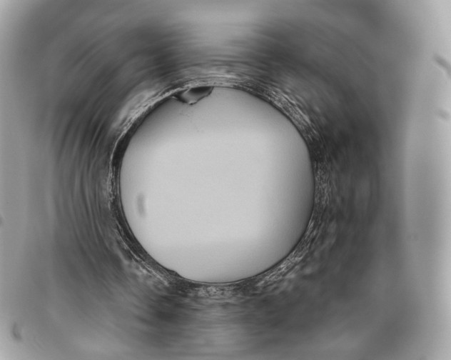 X0000096400338200802141524