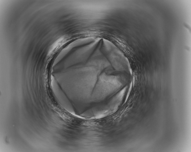 X0000096400339200802141524