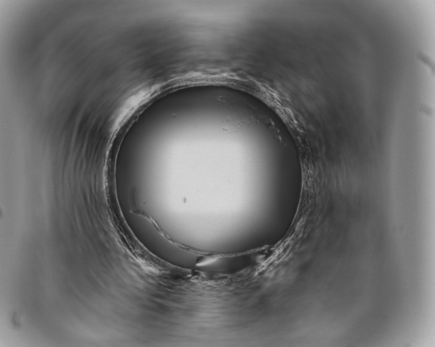 X0000096400340200802141524