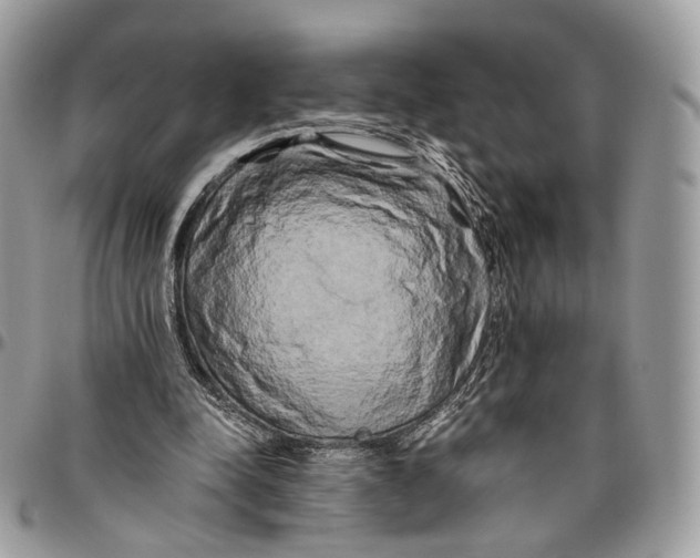 X0000096400342200802141524