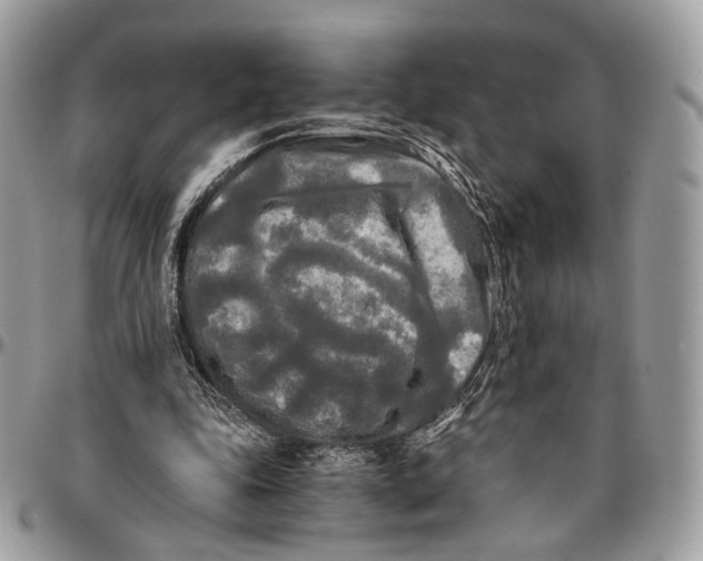 X0000096400343200802141524