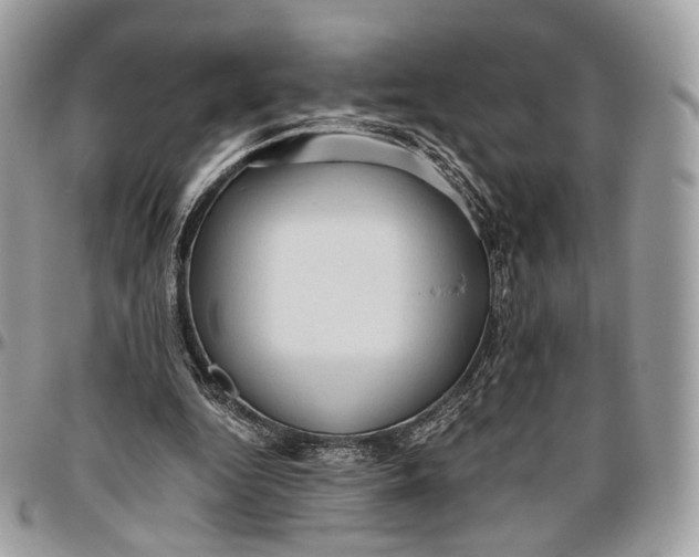 X0000096400344200802141524