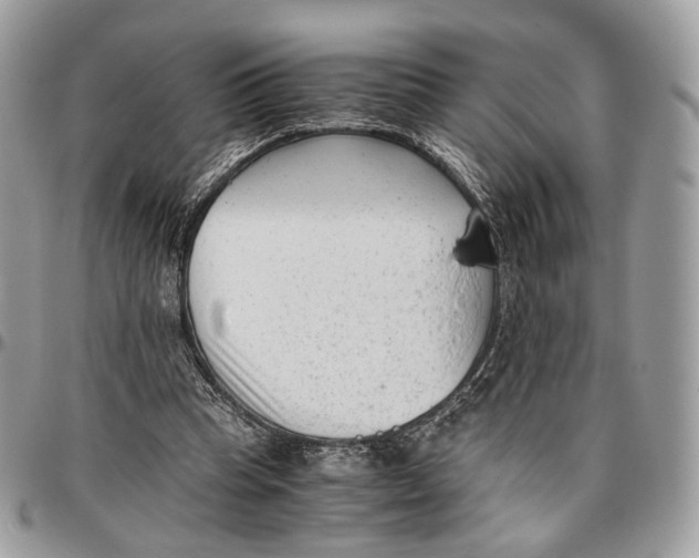 X0000096400345200802141524