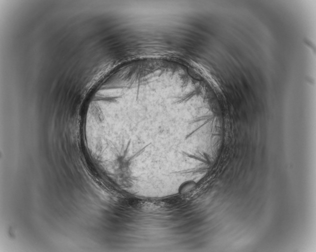 X0000096400346200802141524